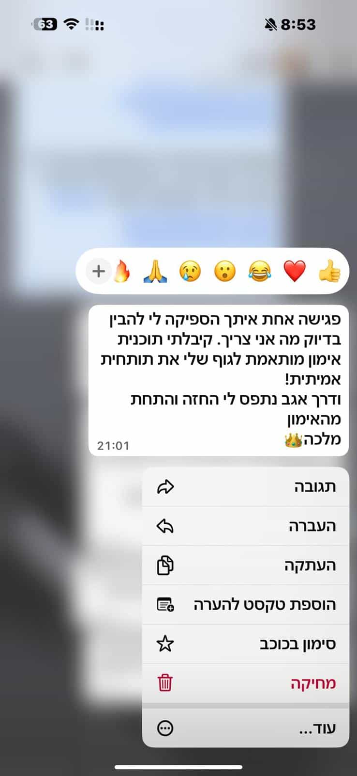 המלצה בוואטסאפ 7