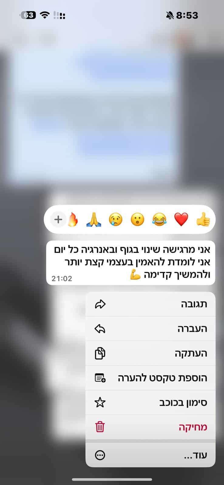 המלצה בוואטסאפ 8